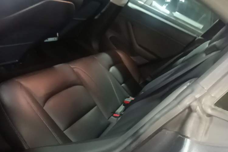Used Tesla Model 3 2019 Long-Range All-Wheel-Drive Version Left Rear Seat