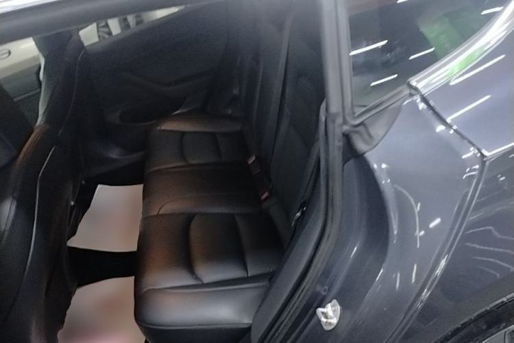 Used Tesla Model 3 2019 Standard Range Rear-Drive Upgraded Version Left Rear Seat