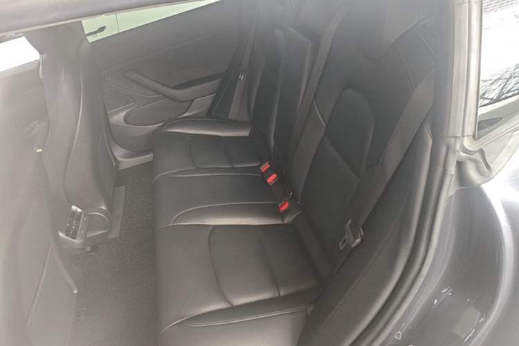 Used Tesla Model 3 2019 Long-Range All-Wheel-Drive Version Left Rear Seat