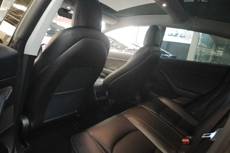 Used Tesla Model 3 2019 Standard Range Rear-Drive Upgraded Version Left Rear Seat