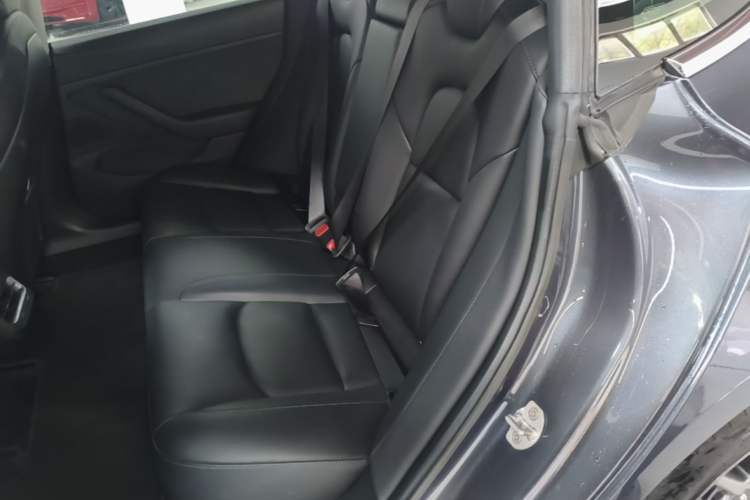 Used Tesla Model 3 2019 Long-Range Rear-Wheel-Drive Version Left Rear Seat