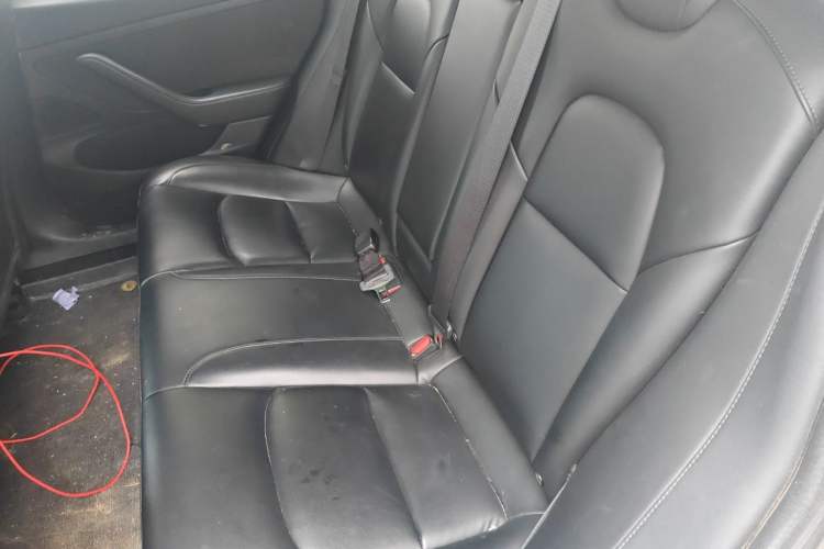 Used Tesla Model 3 2019 Standard Range Rear-Drive Upgraded Version Left Rear Seat