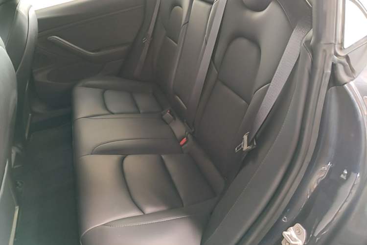 Used Tesla Model 3 2019 Long-Range All-Wheel-Drive Version Left Rear Seat