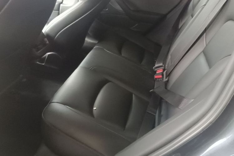Used Tesla Model 3 2019 Standard Range Rear-Drive Upgraded Version Left Rear Seat