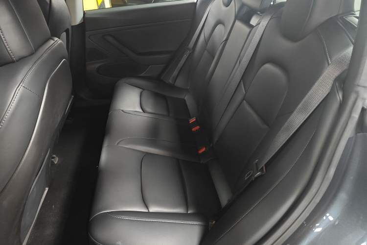 Used Tesla Model 3 2019 Long-Range Rear-Wheel-Drive Version Left Rear Seat
