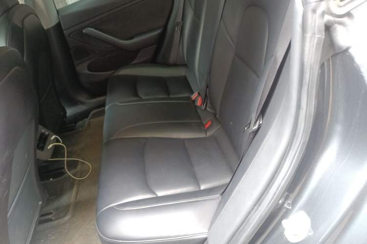 Used Tesla Model 3 2019 Performance High-Performance All-Wheel-Drive Version Left Rear Seat