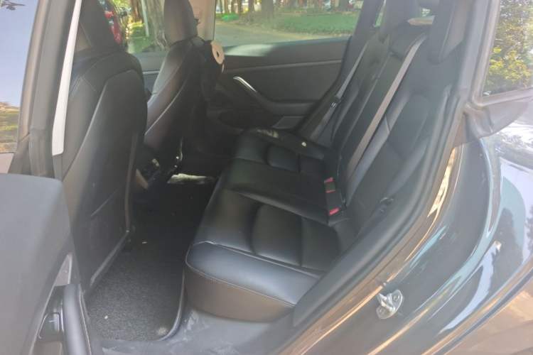 Used Tesla Model 3 2019 Standard Range Rear-Drive Upgraded Version Left Rear Seat