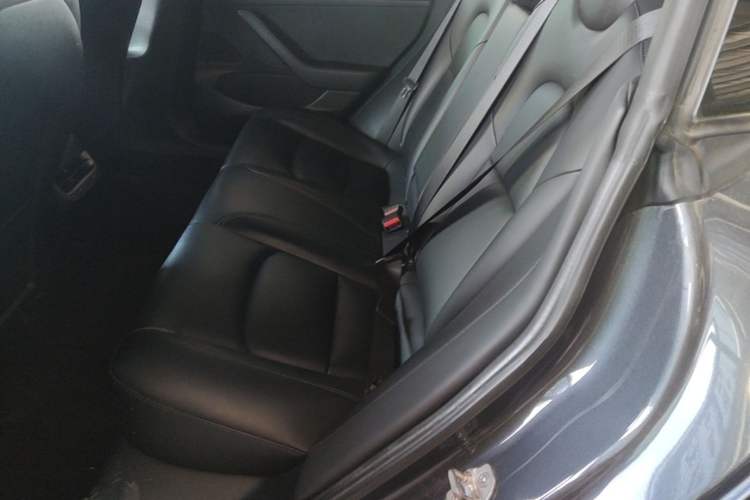 Used Tesla Model 3 2019 Standard Range Rear-Drive Upgraded Version Left Rear Seat