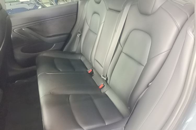 Used Tesla Model 3 2019 Long-Range Rear-Wheel-Drive Version Left Rear Seat