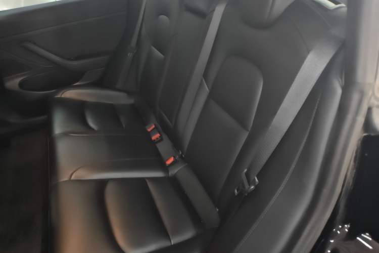 Used Tesla Model 3 2019 Standard Range Rear-Drive Upgraded Version Left Rear Seat
