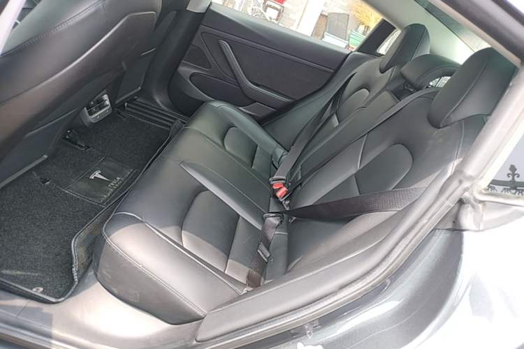 Used Tesla Model 3 2019 Standard Range Rear-Drive Upgraded Version Left Rear Seat