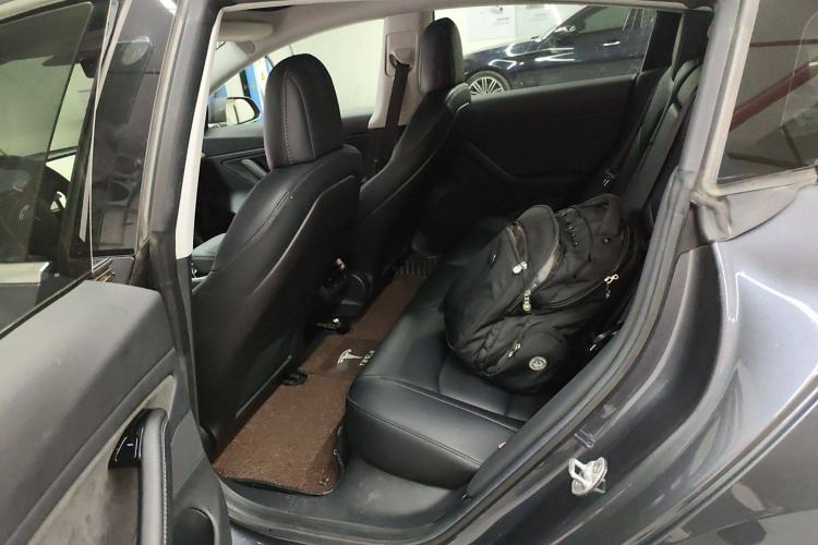 Used Tesla Model 3 2019 Long-Range Rear-Wheel-Drive Version Left Rear Seat