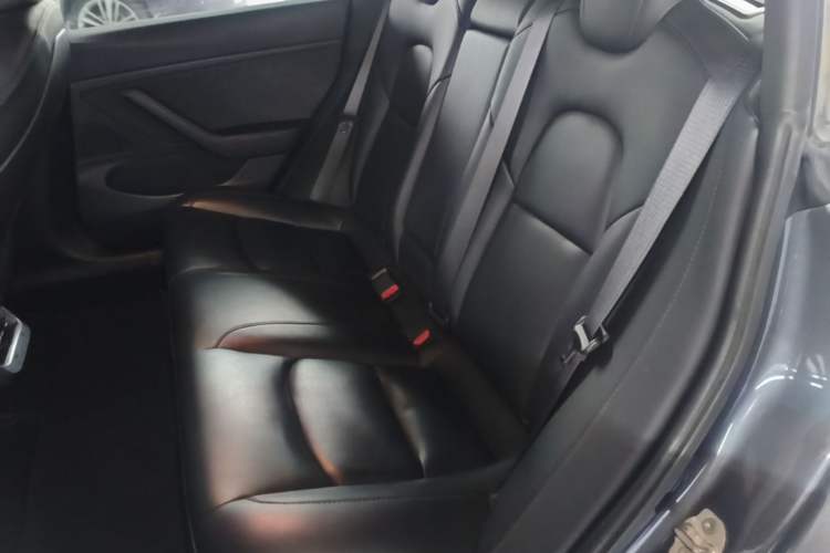 Used Tesla Model 3 2019 Long-Range All-Wheel-Drive Version Left Rear Seat
