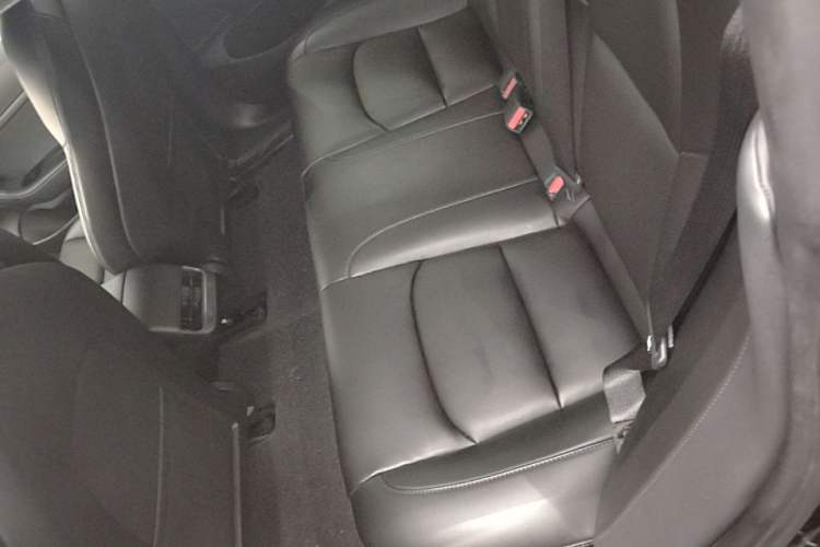 Used Tesla Model 3 2019 Standard Range Rear-Drive Upgraded Version Left Rear Seat