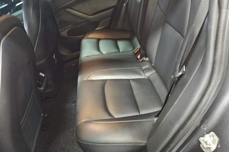 Used Tesla Model 3 2019 Standard Range Rear-Drive Upgraded Version Left Rear Seat