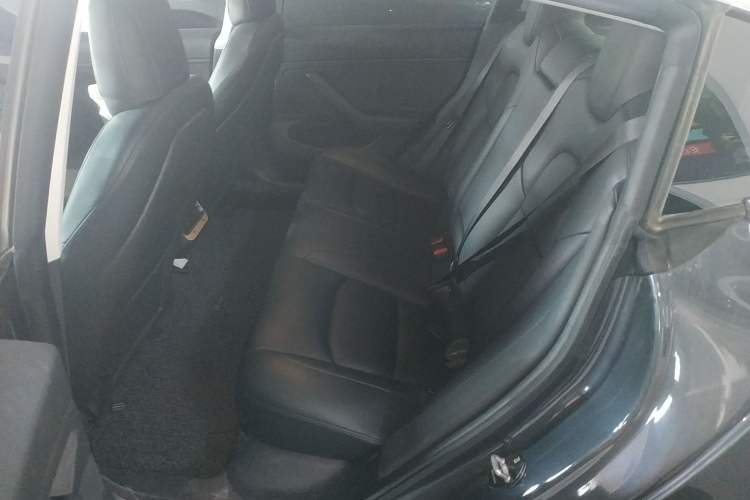 Used Tesla Model 3 2019 Long-Range Rear-Wheel-Drive Version Left Rear Seat