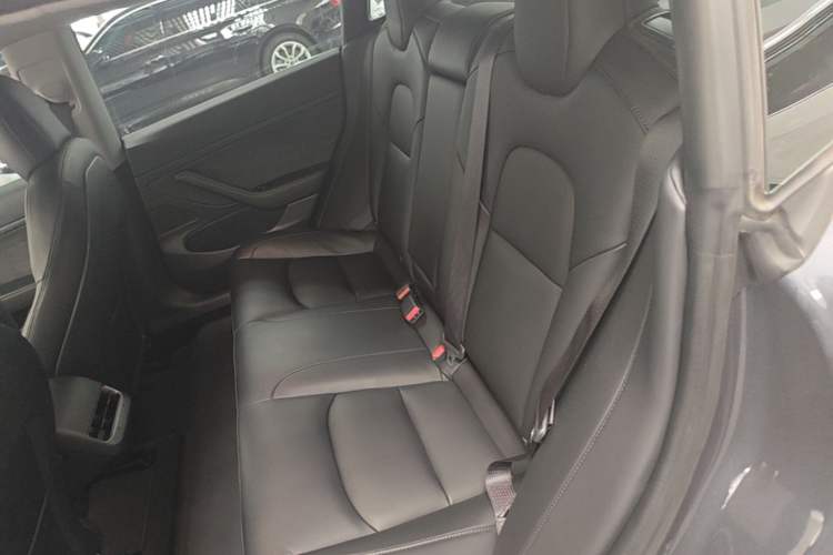Used Tesla Model 3 2019 Standard Range Rear-Drive Upgraded Version Left Rear Seat