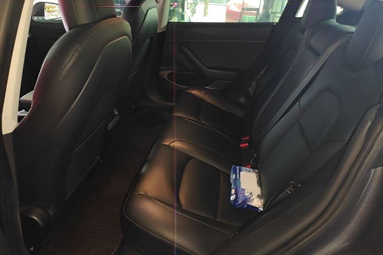 Used Tesla Model 3 2019 Standard Range Rear-Drive Upgraded Version Left Rear Seat
