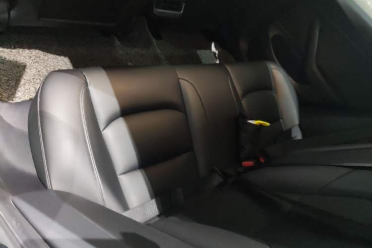 Used Tesla Model 3 2019 Standard Range Rear-Drive Upgraded Version Left Rear Seat