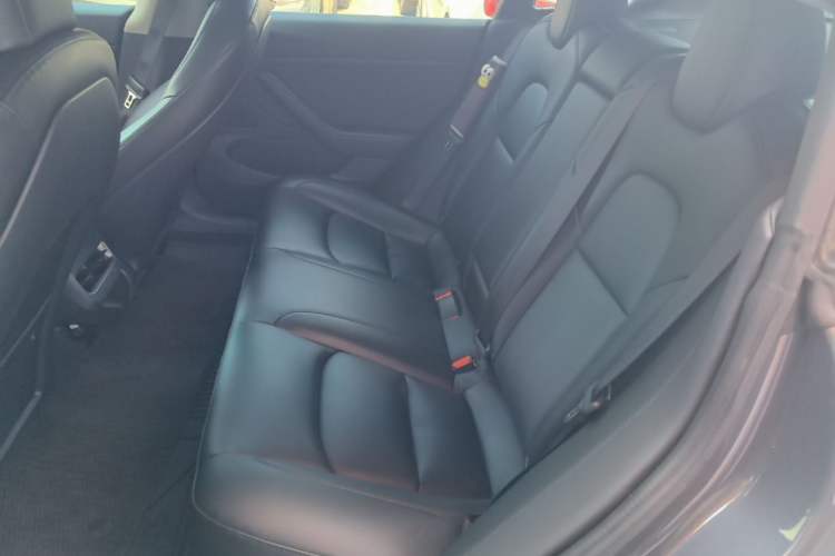 Used Tesla Model 3 2019 Standard Range Rear-Drive Upgraded Version Left Rear Seat