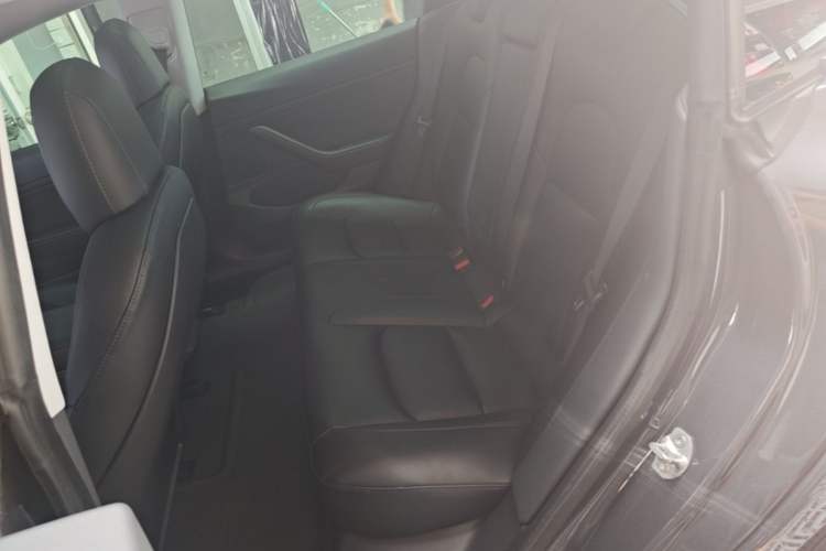 Used Tesla Model 3 2019 Standard Range Rear-Drive Upgraded Version Left Rear Seat