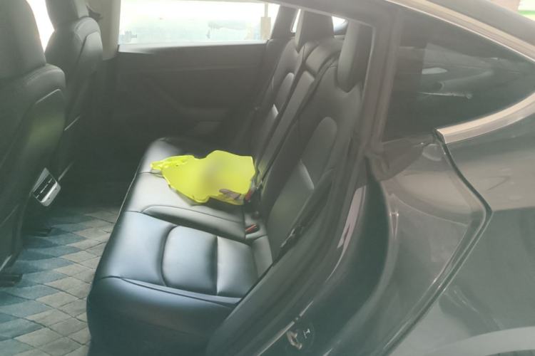 Used Tesla Model 3 2019 Standard Range Rear-Drive Upgraded Version Left Rear Seat