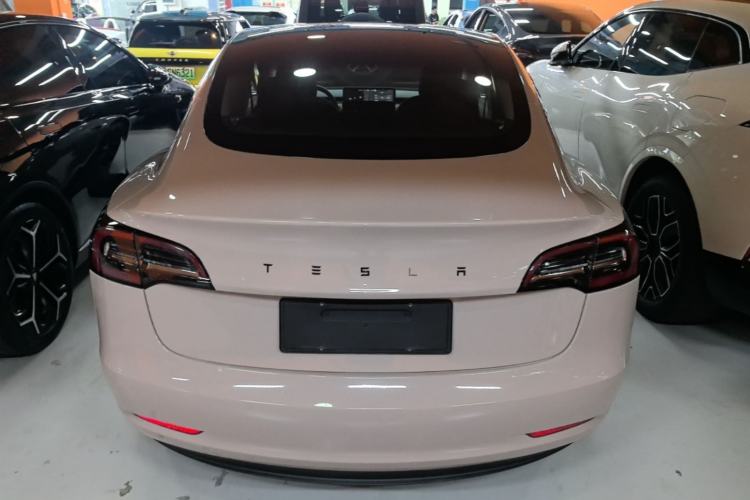 Used Tesla Model 3 2019 Long-Range Rear-Wheel-Drive Version Rear