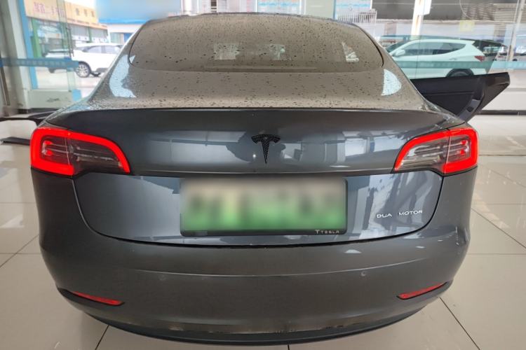 Used Tesla Model 3 2019 Long-Range All-Wheel-Drive Version Rear