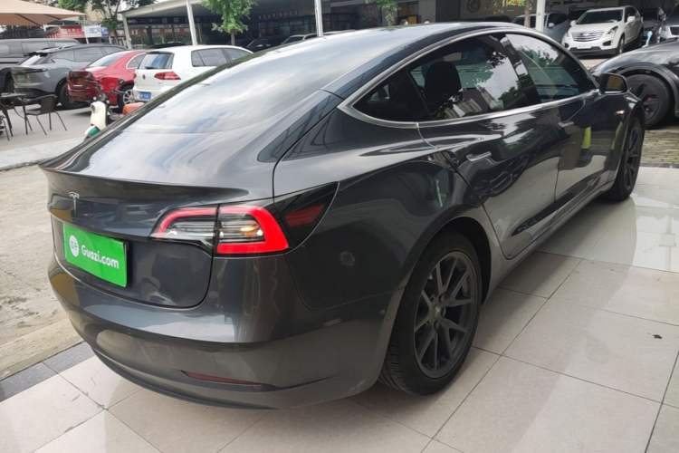 Used Tesla Model 3 2019 Long-Range Rear-Wheel-Drive Version Rear Right 45 Deg