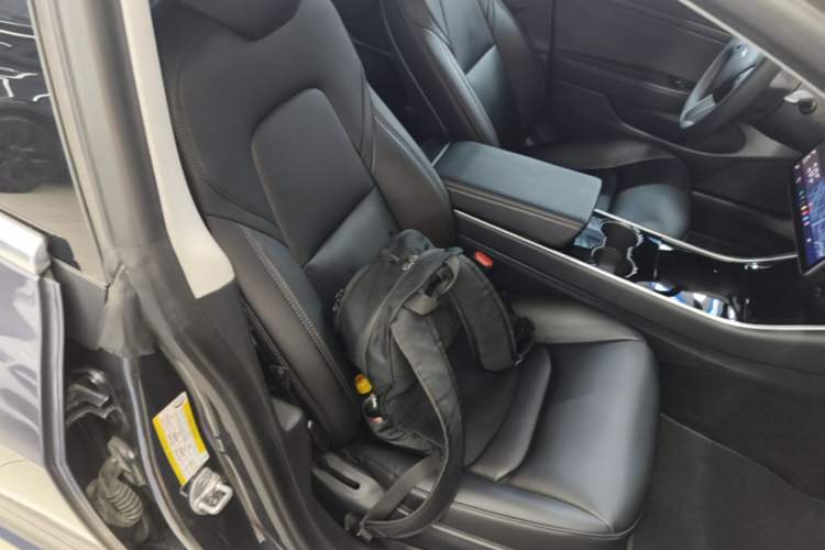 Used Tesla Model 3 2019 Standard Range Rear-Drive Upgraded Version Right Front Seat
