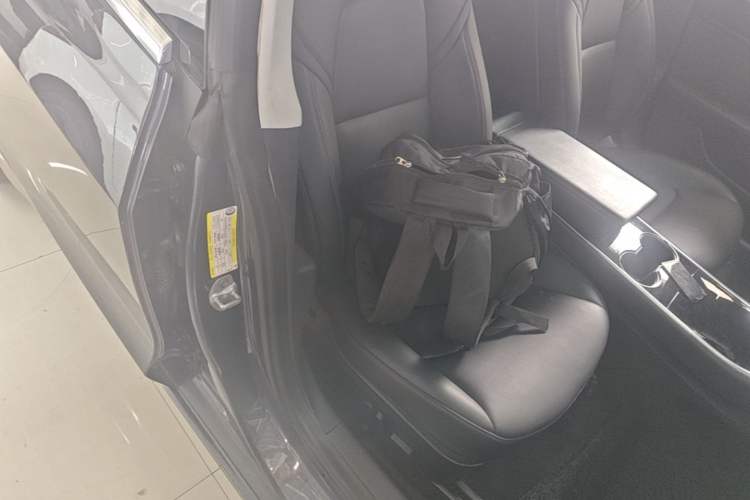 Used Tesla Model 3 2019 Long-Range All-Wheel-Drive Version Right Front Seat