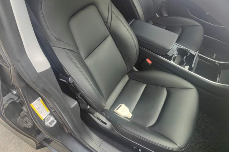 Used Tesla Model 3 2019 Standard Range Rear-Drive Upgraded Version Right Front Seat