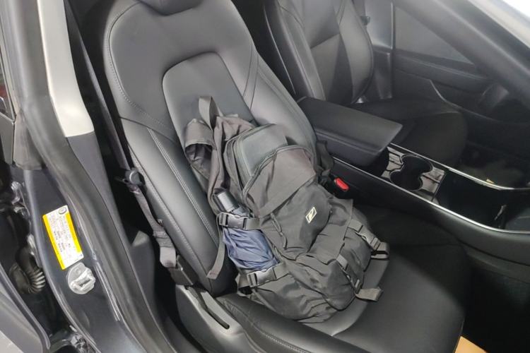 Used Tesla Model 3 2019 Standard Range Rear-Drive Upgraded Version Right Front Seat