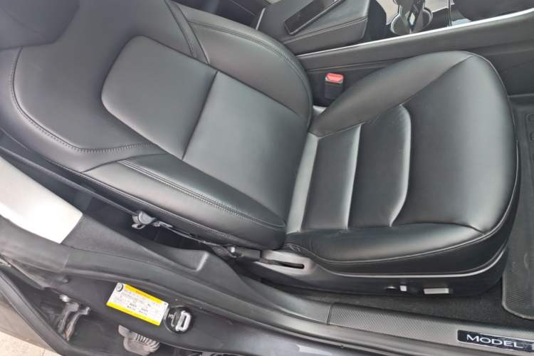 Used Tesla Model 3 2019 Standard Range Rear-Drive Upgraded Version Right Front Seat
