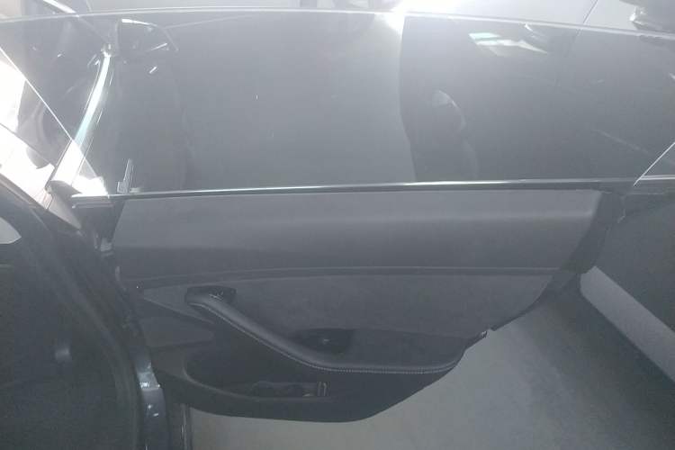 Used Tesla Model 3 2019 Long-Range Rear-Wheel-Drive Version Right Rear Door Interior