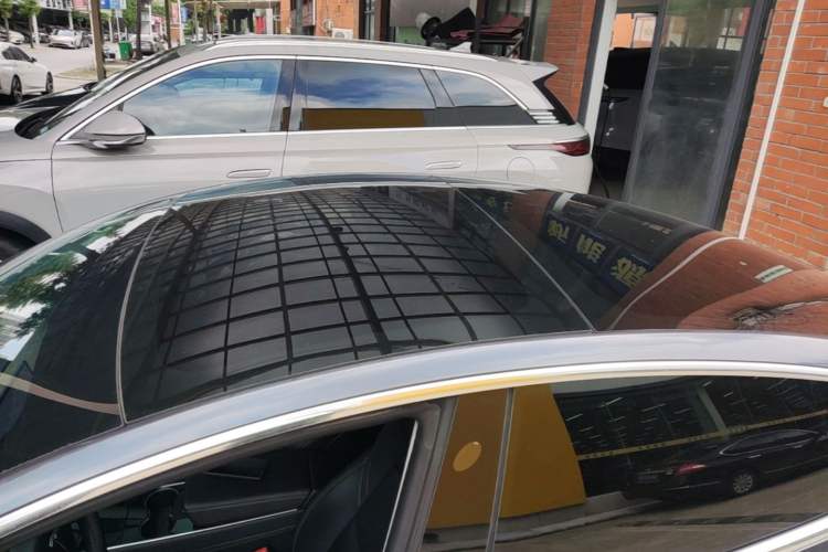 Used Tesla Model 3 2019 Long-Range Rear-Wheel-Drive Version Roof