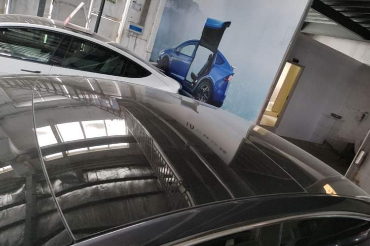 Used Tesla Model 3 2019 Long-Range Rear-Wheel-Drive Version Roof