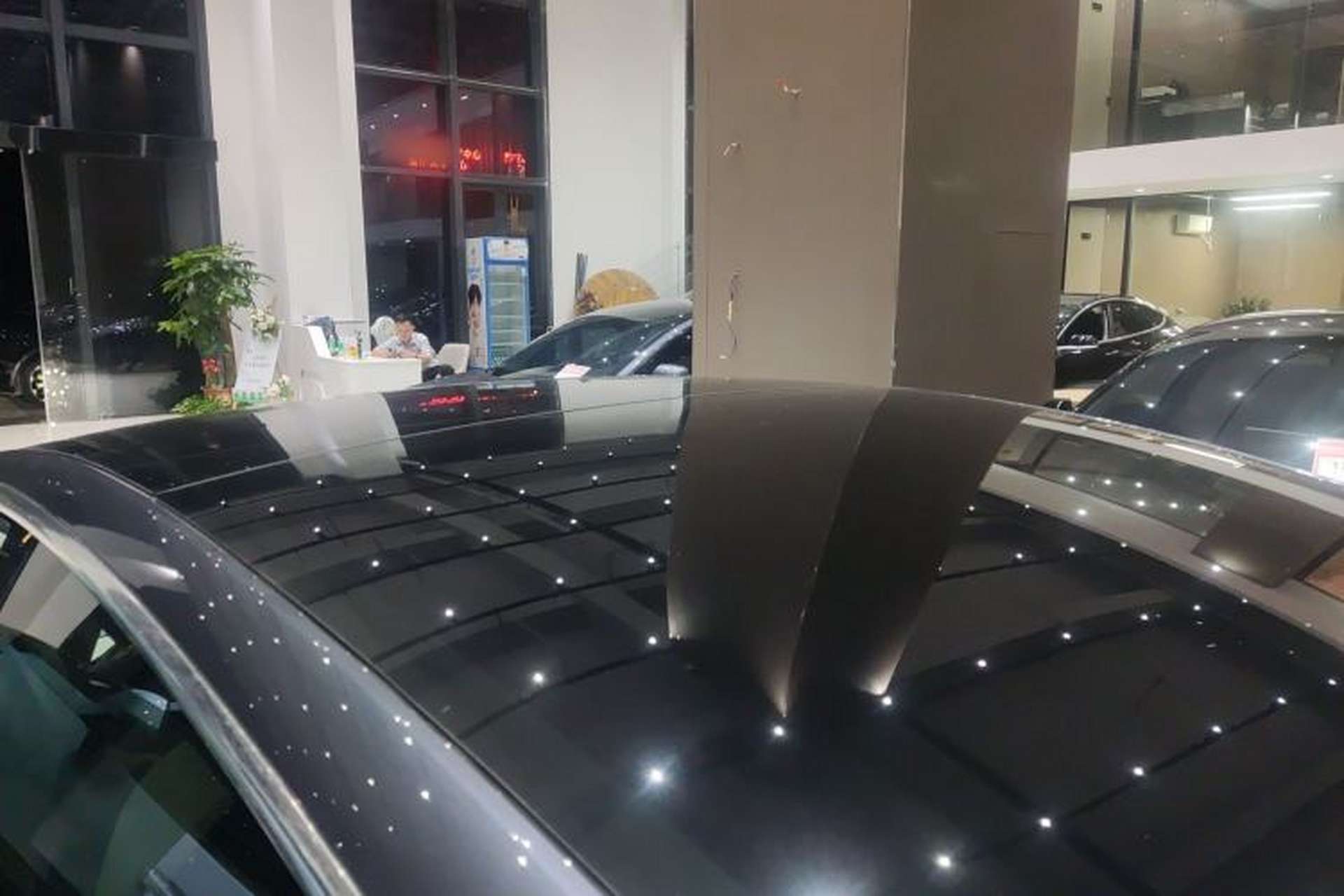 Used Tesla Model 3 2019 Long-Range All-Wheel-Drive Version Roof