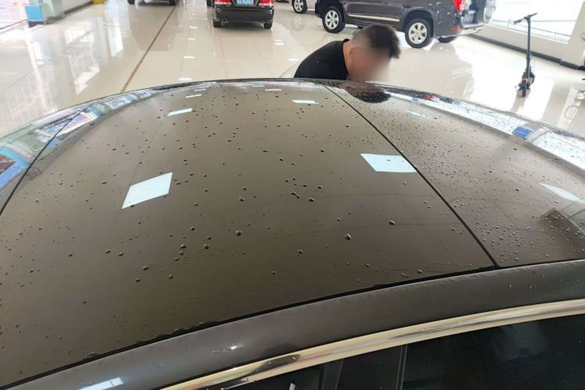 Used Tesla Model 3 2019 Long-Range All-Wheel-Drive Version Roof