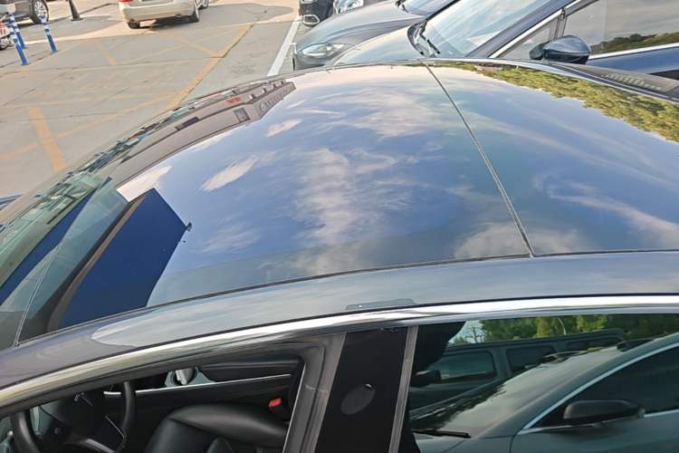 Used Tesla Model 3 2019 Long-Range All-Wheel-Drive Version Roof