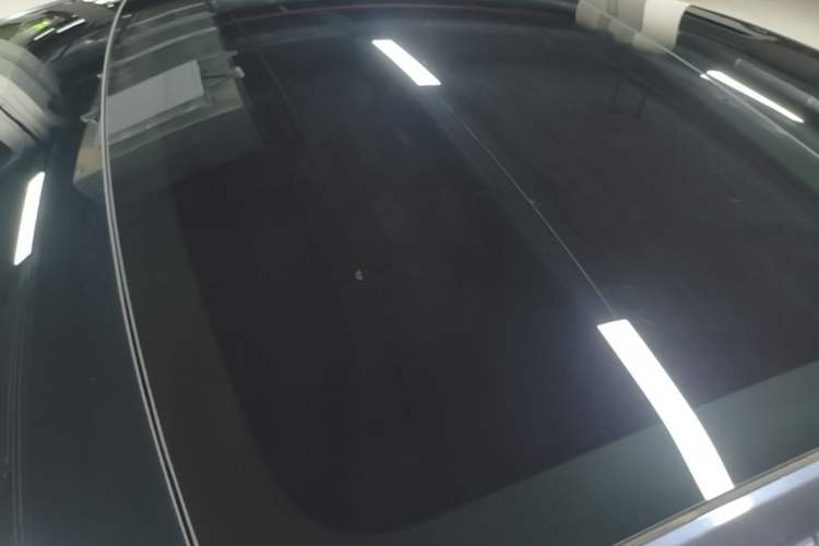 Used Tesla Model 3 2019 Standard Range Rear-Wheel Drive Upgraded Version (52 kWh) Roof