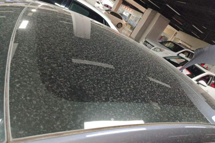 Used Tesla Model 3 2019 Long-Range All-Wheel-Drive Version Roof