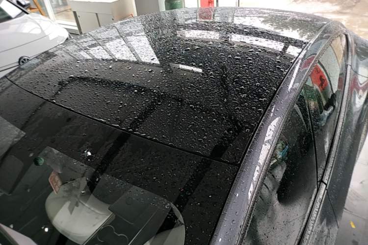 Used Tesla Model 3 2019 Standard Range Rear-Drive Upgraded Version Roof