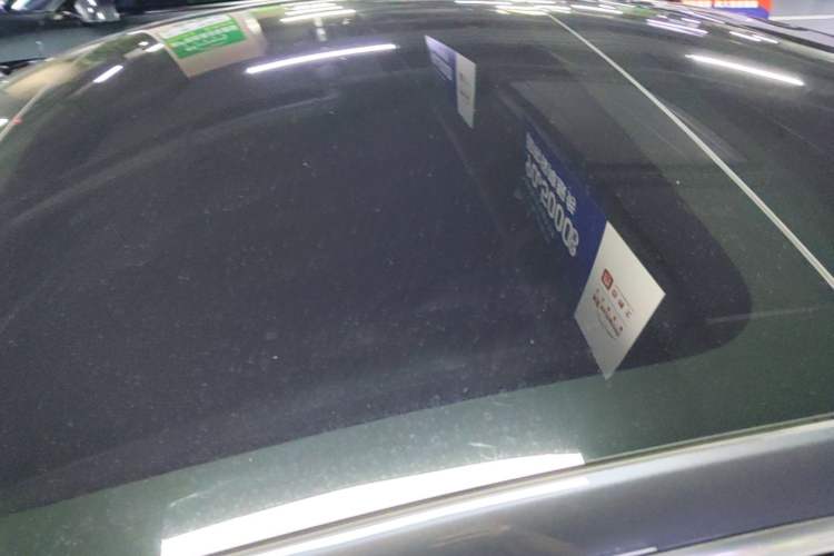 Used Tesla Model 3 2019 Long-Range Rear-Wheel-Drive Version Roof