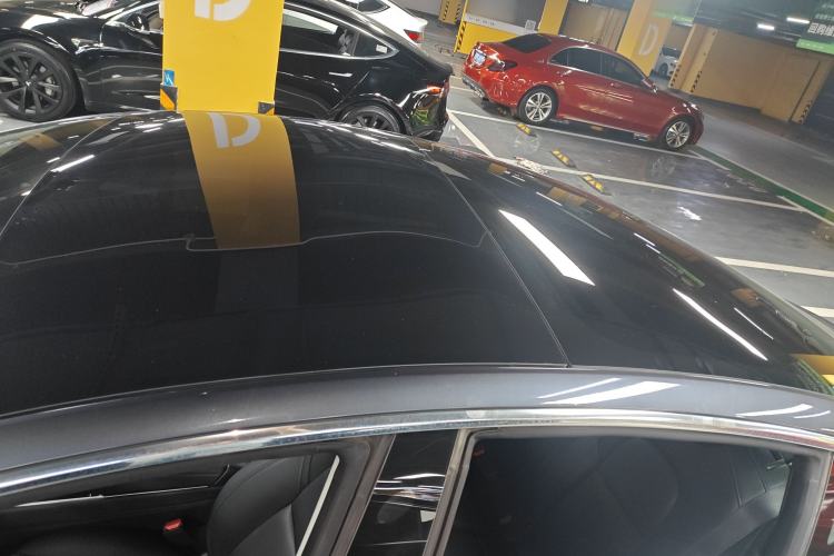 Used Tesla Model 3 2019 Long-Range Rear-Wheel-Drive Version Roof