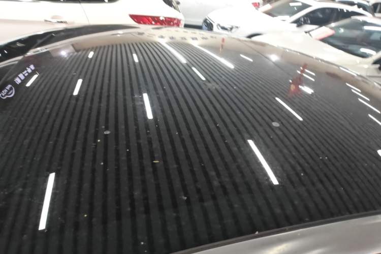 Used Tesla Model 3 2019 Standard Range Rear-Drive Upgraded Version Roof