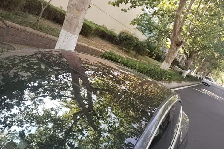 Used Tesla Model 3 2019 Long-Range Rear-Wheel-Drive Version Roof
