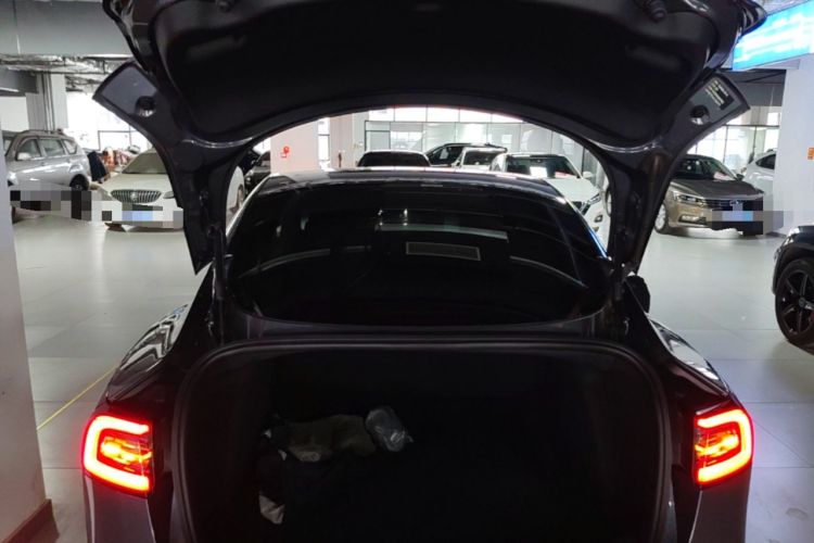 Used Tesla Model 3 2019 Standard Range Rear-Drive Upgraded Version Trunk