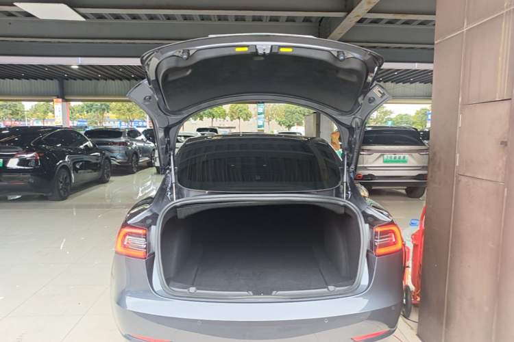 Used Tesla Model 3 2019 Standard Range Rear-Drive Upgraded Version Trunk