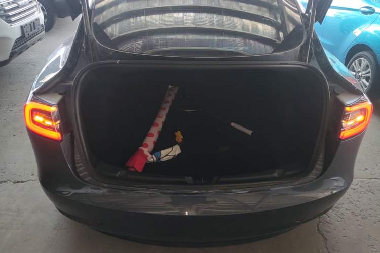 Used Tesla Model 3 2019 Standard Range Rear-Drive Upgraded Version Trunk